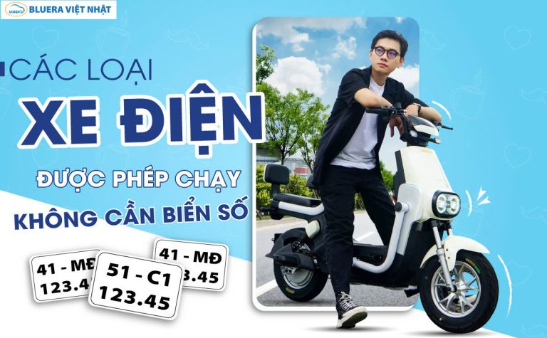 Không Cần Thủ Tục Rườm Rà: Đây Là Các Loại Xe Điện Được Phép Chạy Không Biển Số