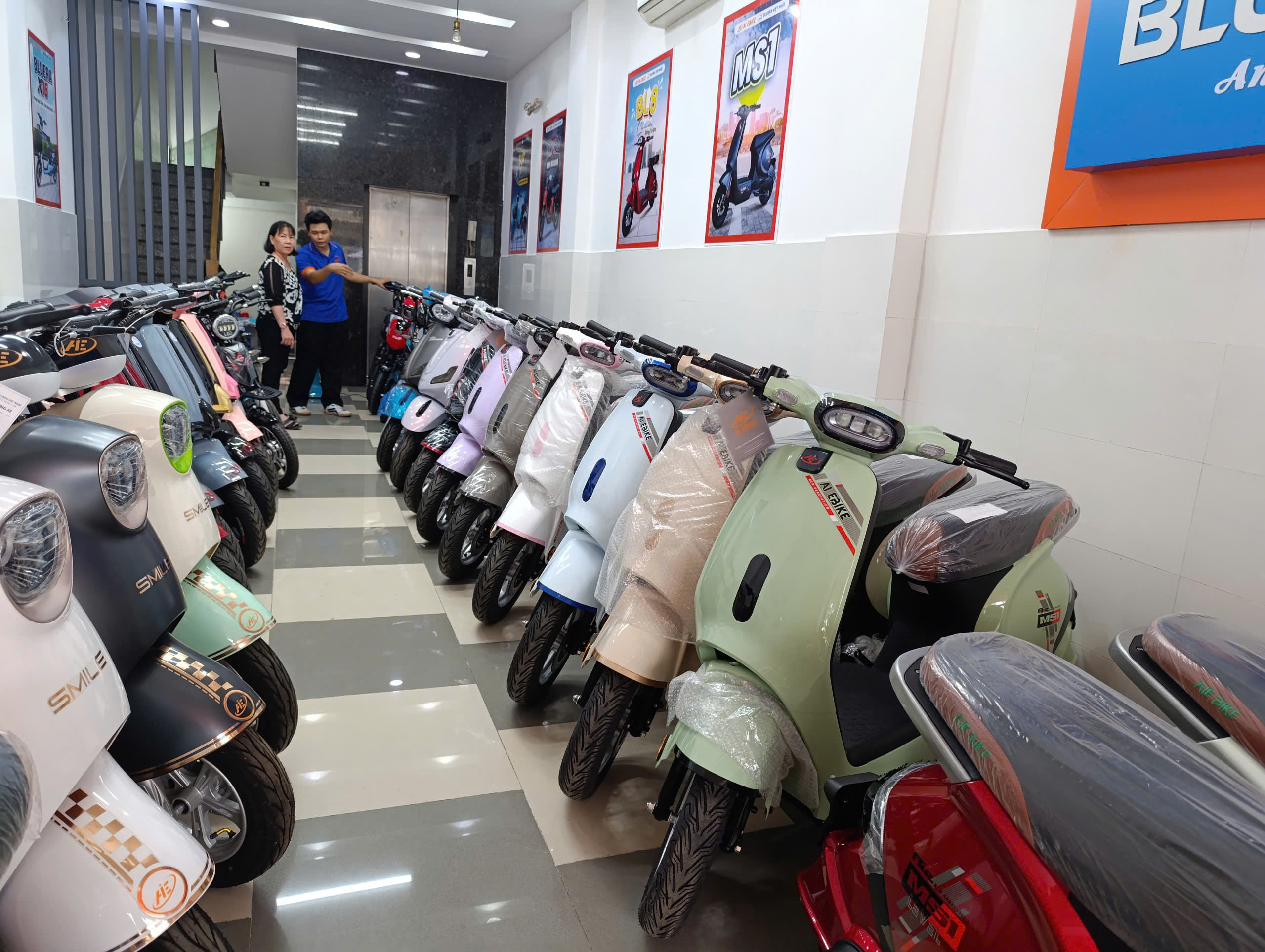 Các mẫu xe đạp điện chính hãng Bluera Việt Nhật