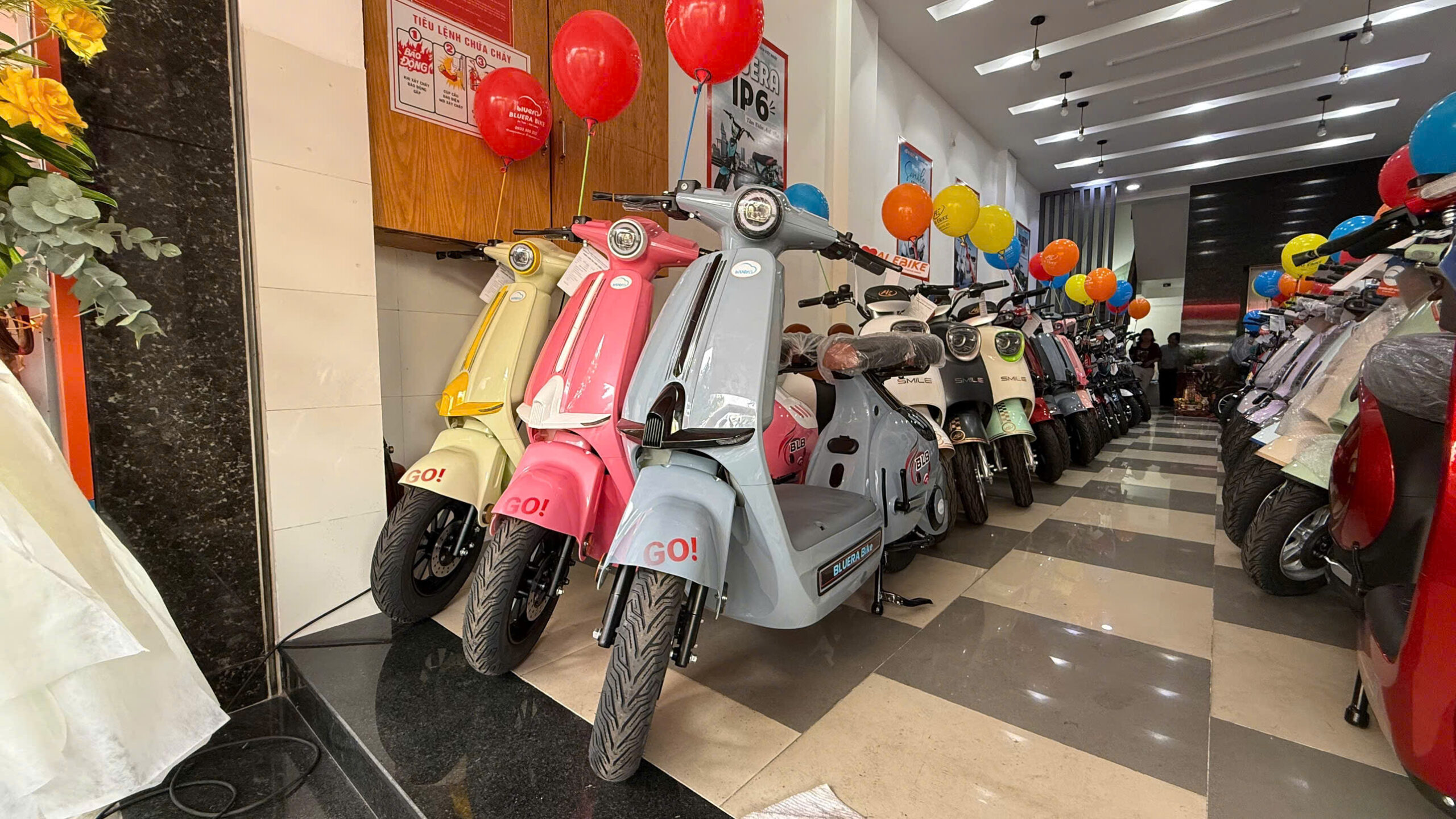 Các mẫu xe điện Bluera Việt Nhật