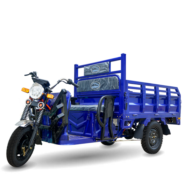 xe ba gac dien cho hang bluera viet nhat mau xanh