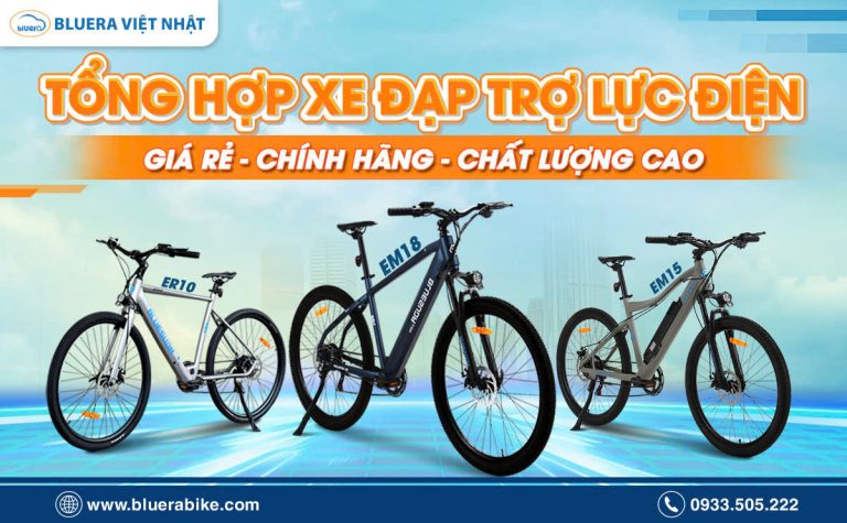 Tổng Hợp Xe Đạp Trợ Lực Điện Giá Tốt Chính Hãng, Chất Lượng Cao