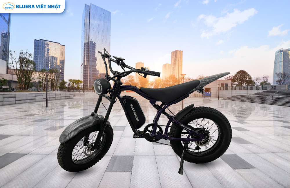 Tổng Hợp Xe Đạp Trợ Lực Điện Giá Tốt Chính Hãng, Chất Lượng Cao 3 Xe đạp điện trợ lực Bluesuda EM40